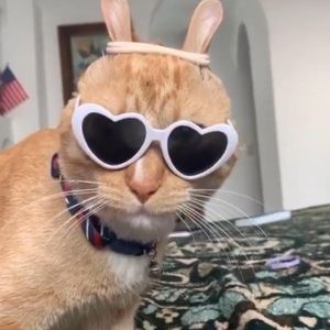 Meet your Posher, Soukaina